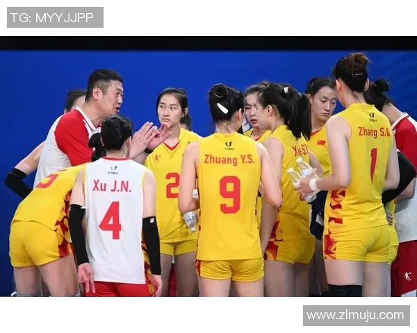 专业解读:成都排球队的运营打法