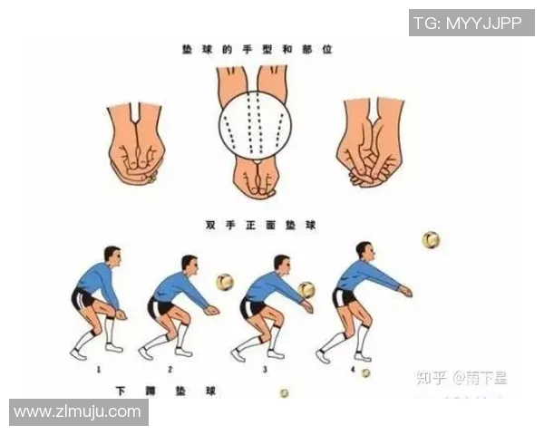 排球新手必看：提升耐力的全面训练与技巧指南