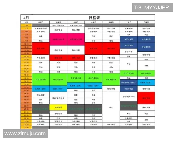 武汉飞盘队反击战术深度分析与实战应用探讨
