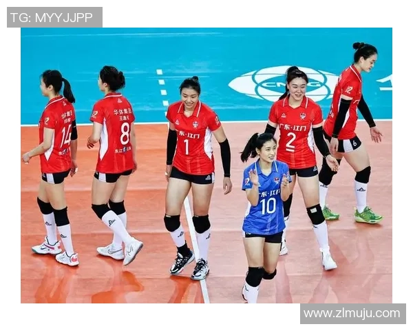 深圳排球队速度之争引发热议球迷观点各异分析精彩瞬间