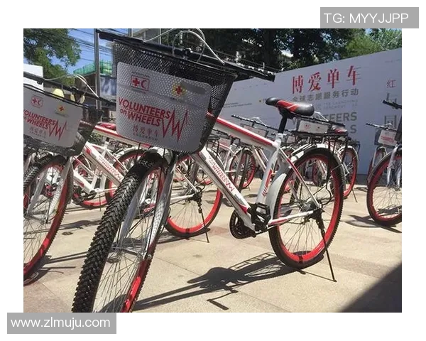 足球岛丛林火灾引发生态危机与人道救援行动的紧急呼吁