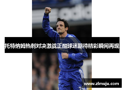 托特纳姆热刺对决激战正酣球迷期待精彩瞬间再现