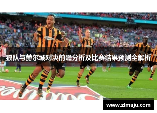 狼队与赫尔城对决前瞻分析及比赛结果预测全解析